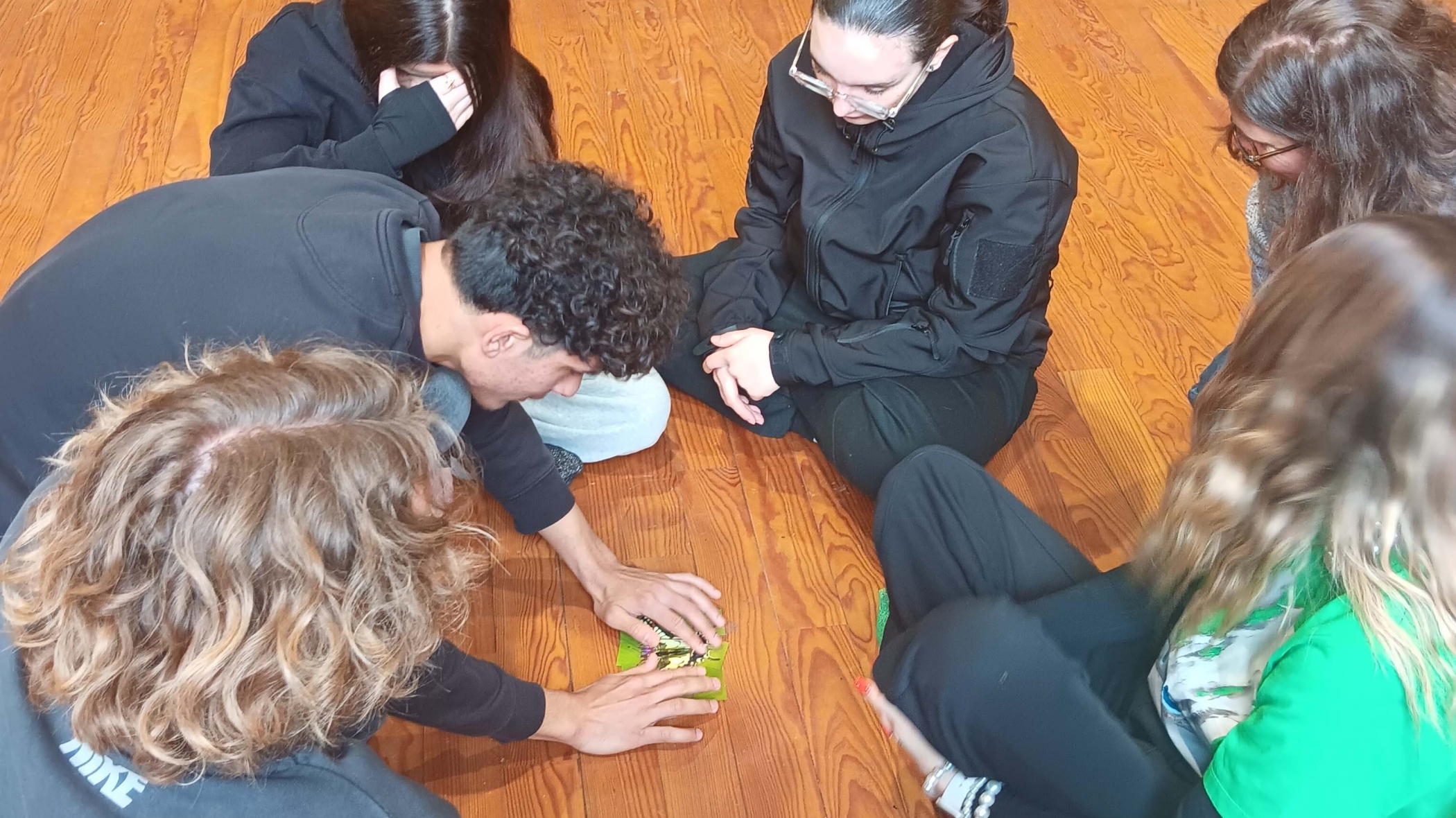 Effet papillon, danse et médiation pour la classe de 1ère de la MFR