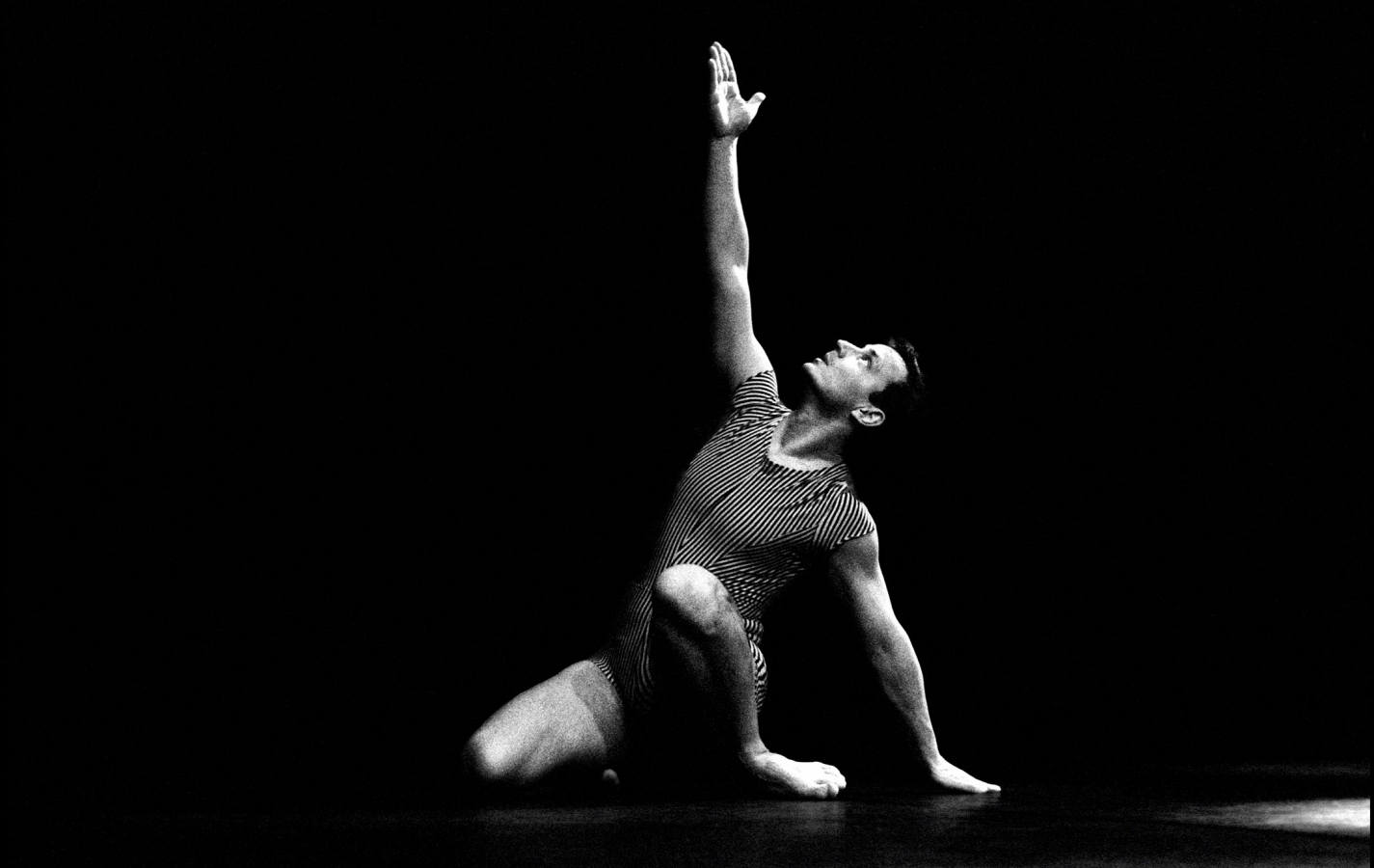 Magnifiques [scolaire]