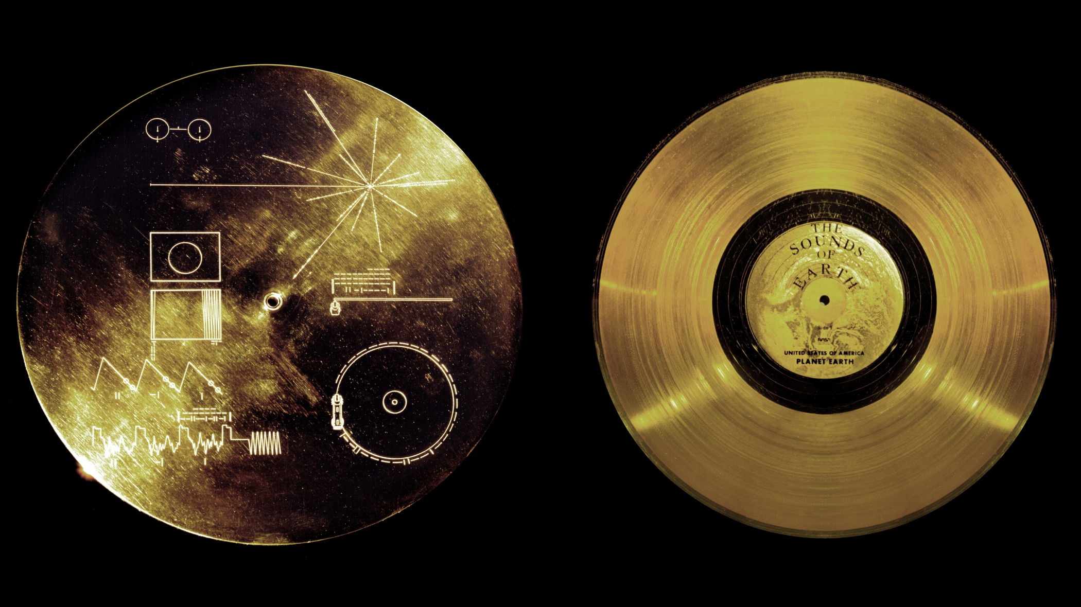 Découvrez le Golden Record imaginé par les habitants