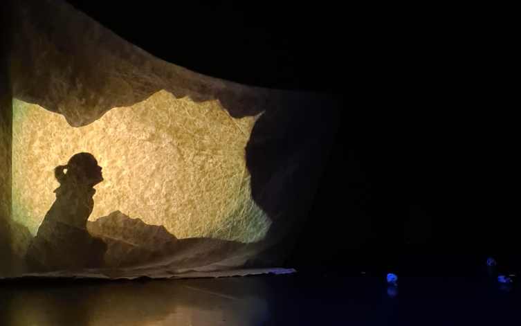 Une semaine Sous la Surface entre spectacles et ateliers